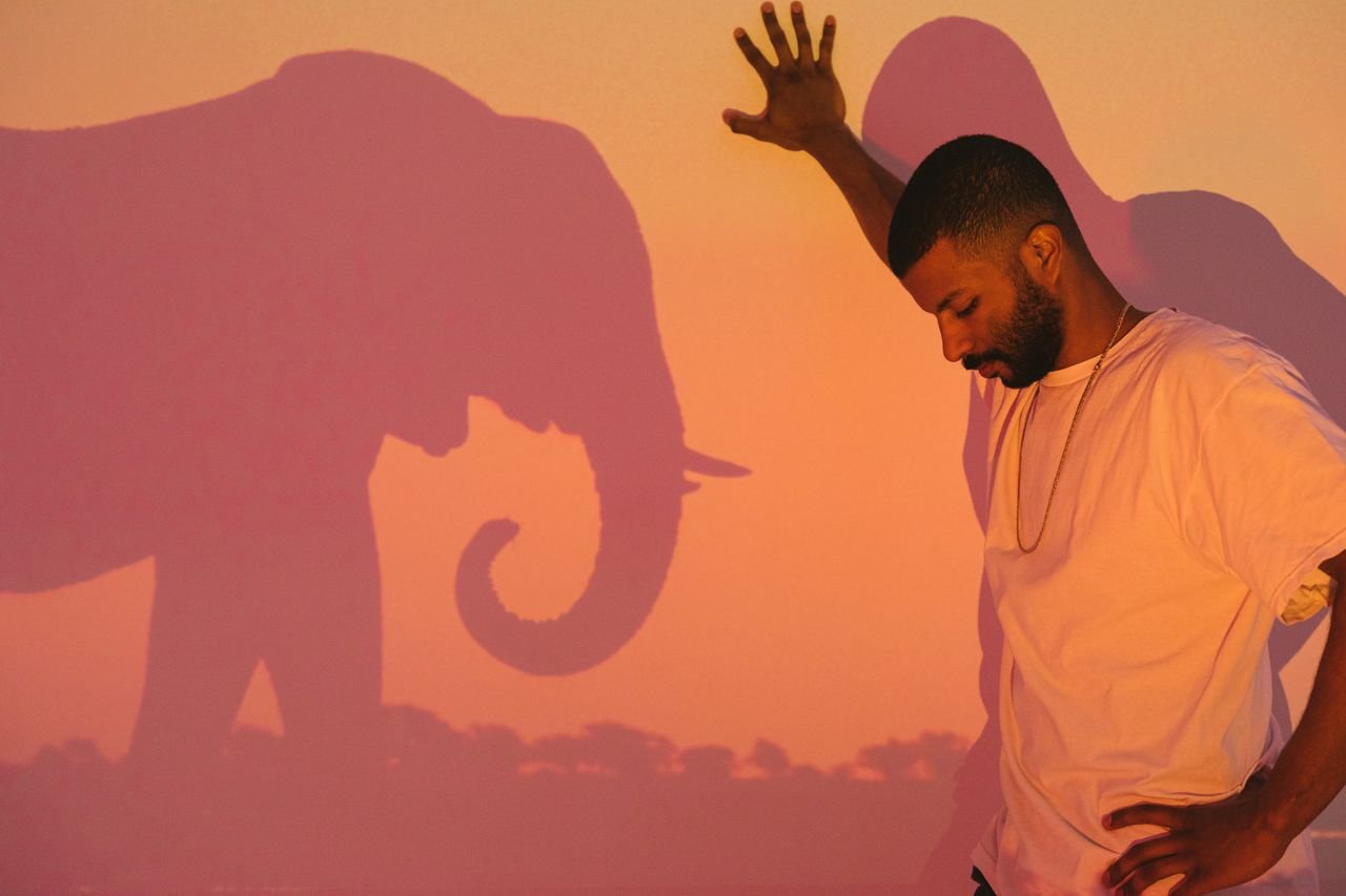 Contemplative man stands beside elephant shadow at sunset, expressing connection to nature.